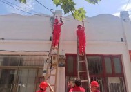 山东省住建厅全面部署开展平原震后市政基础设施巡查维护工作